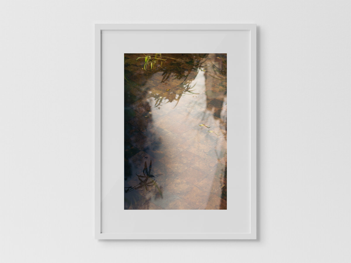 Reflejos Dueñas I